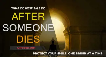 The Hospital's Post-Mortem Procedures: A Comprehensive Guide
