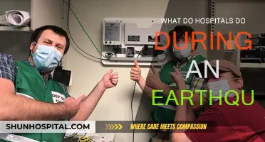 Earthquake Preparedness: Hospitals' Response and Safety Measures