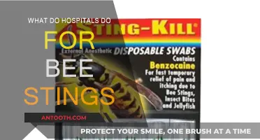 Bee Stings: Hospital Treatments and Aftercare
