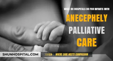 Compassionate Care for Infants with Anencephaly: Hospital Palliative Approaches