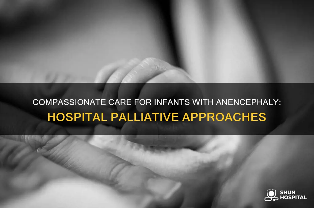 what do hospitals do for infants with anecephely palliative care