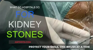Treatment Options: Kidney Stones and Hospital Care