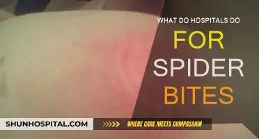Effective Hospital Treatments for Spider Bites
