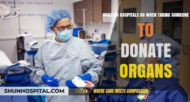 Organ Donation Process: How Hospitals Facilitate Life-Saving Transplants