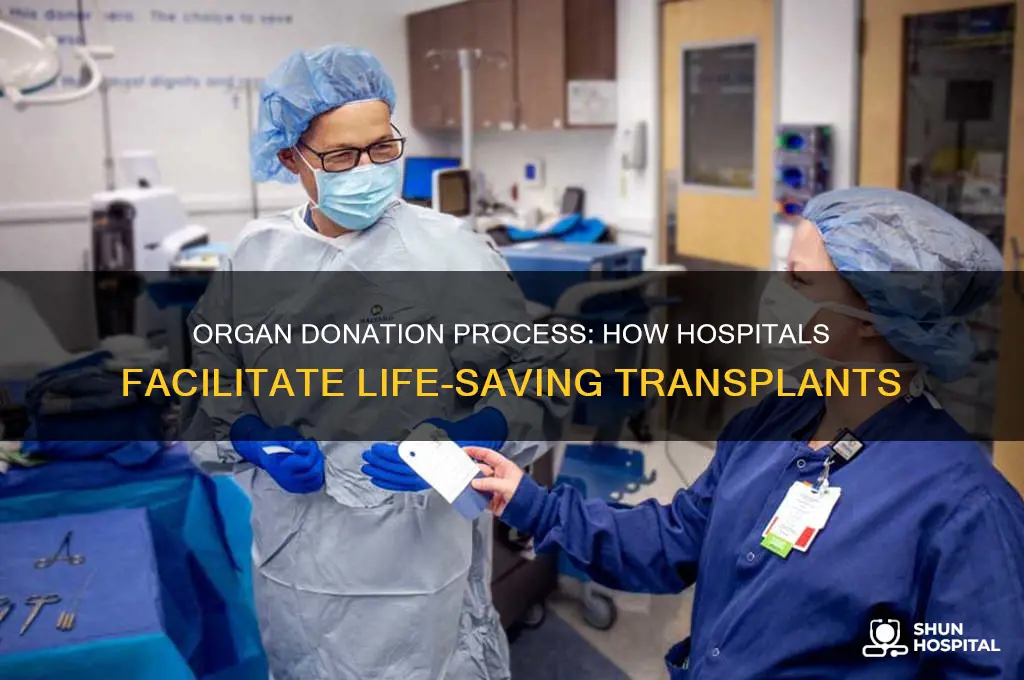 what do hospitals do when taking someone to donate organs