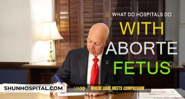 The Fate of Fetal Remains: What Happens After Abortion?