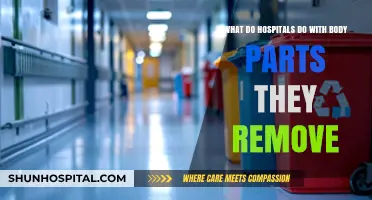 What Happens to Removed Body Parts in Hospitals? Explained