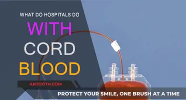 Hospitals' Options for Cord Blood: Storage, Donation, or Discard?