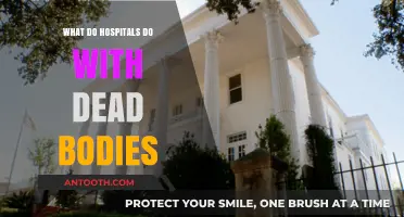 Hospitals and the Dead: Where Do Bodies Go?