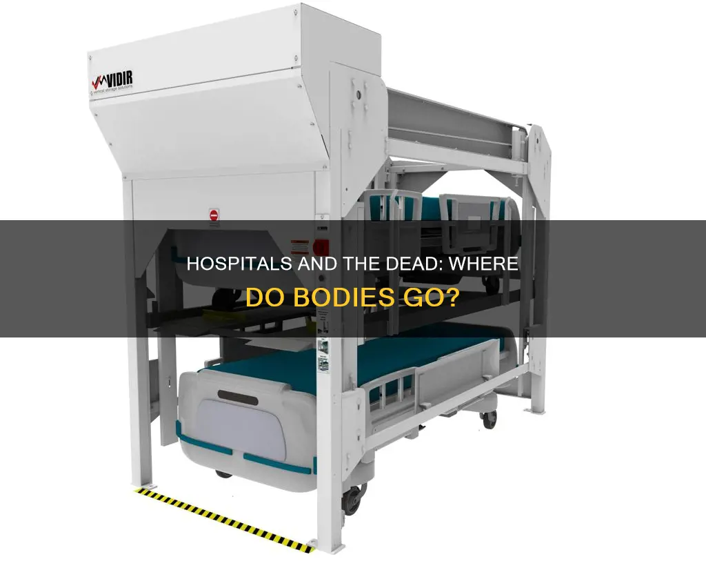 what do hospitals do with dead bodies