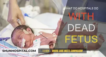 Hospitals' Procedures for Fetal Remains