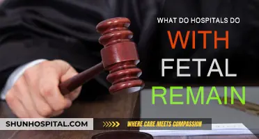 The Fate of Fetal Remains: Hospital Procedures Explored