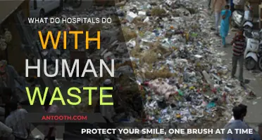 Hospitals' Human Waste: Disposal and Treatment