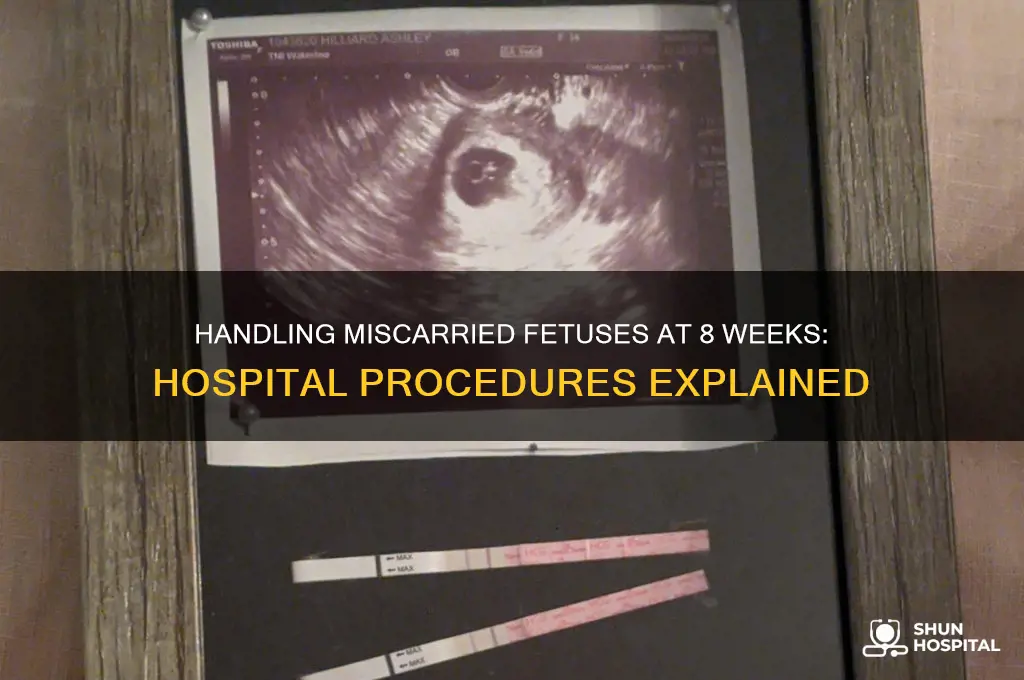 what do hospitals do with miscarried 8 week fetus