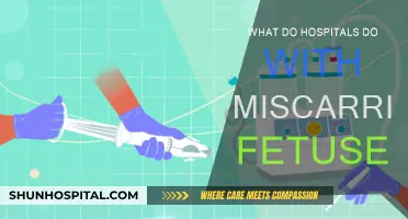 Hospitals' Procedures for Miscarried Fetuses: Options and Sensitivities