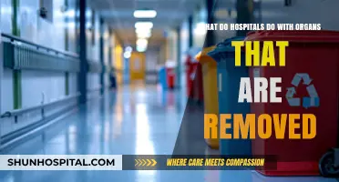 Organ Disposal in Hospitals: What Happens After Removal?