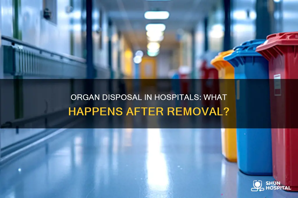 what do hospitals do with organs that are removed