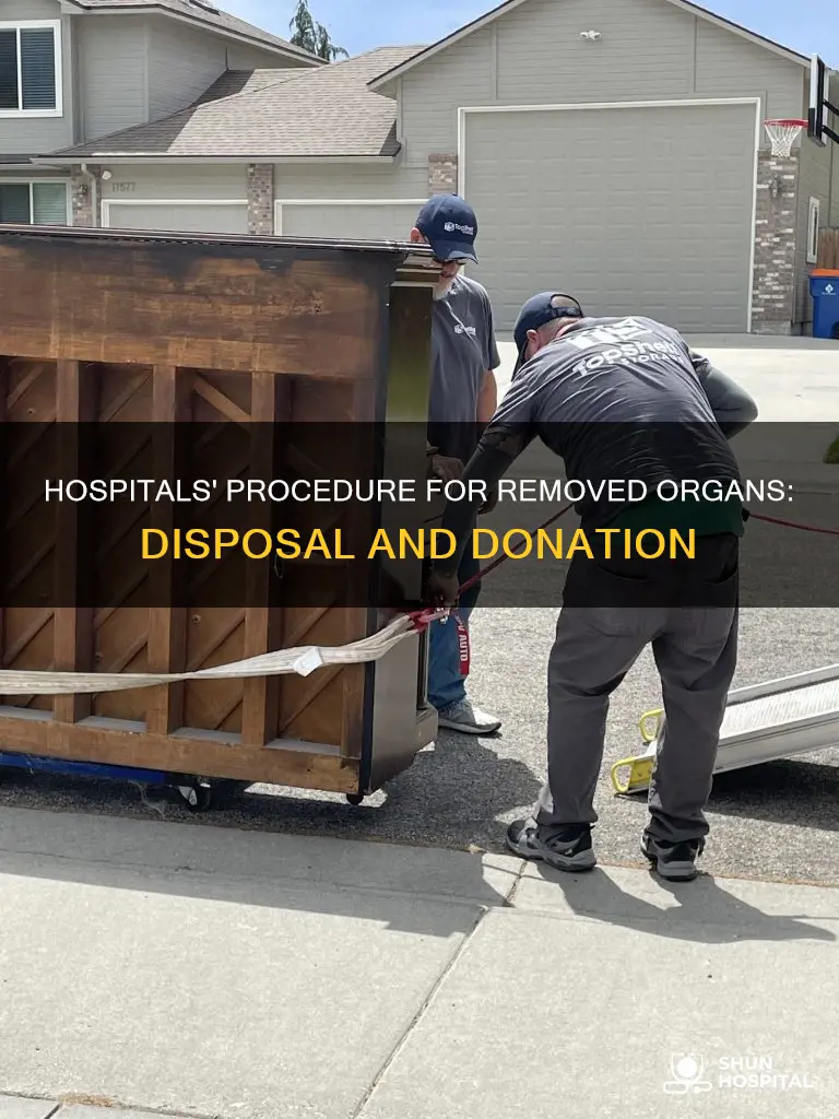 what do hospitals do with removed organs