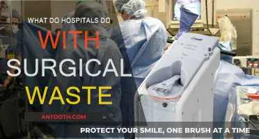 Hospitals' Surgical Waste: Disposal and Management