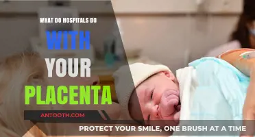 Hospitals and Placentas: What's the Procedure?