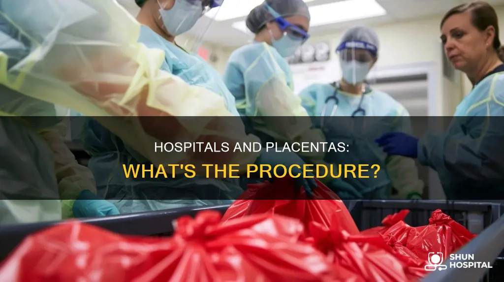 what do hospitals do with your placenta