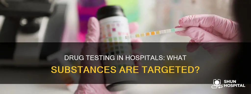 what do hospitals drug test employees for