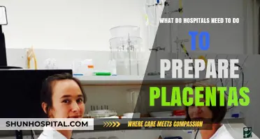 Preparing Placentas in Hospitals: Essential Steps for Safe Handling and Preservation