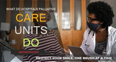 Palliative Care Units: Comfort and Support for Patients