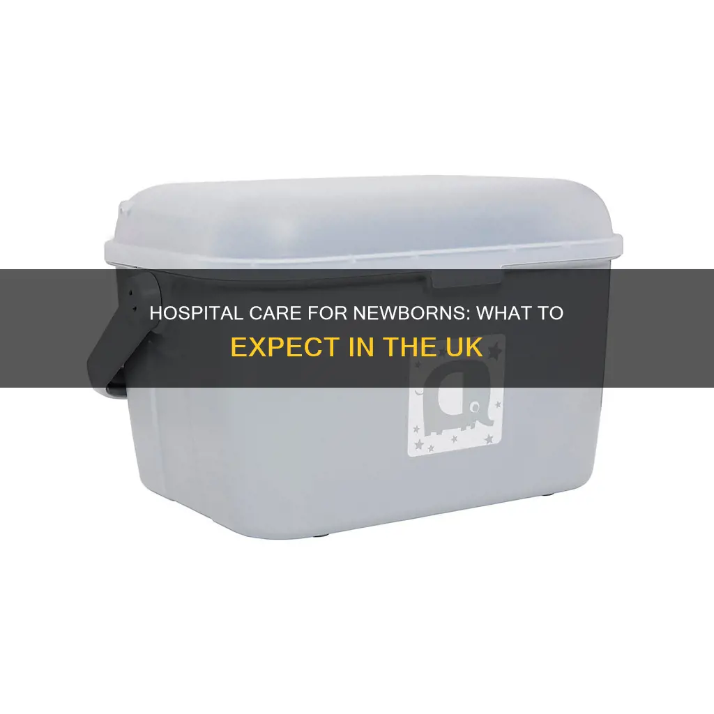 what do hospitals provide for newborns uk