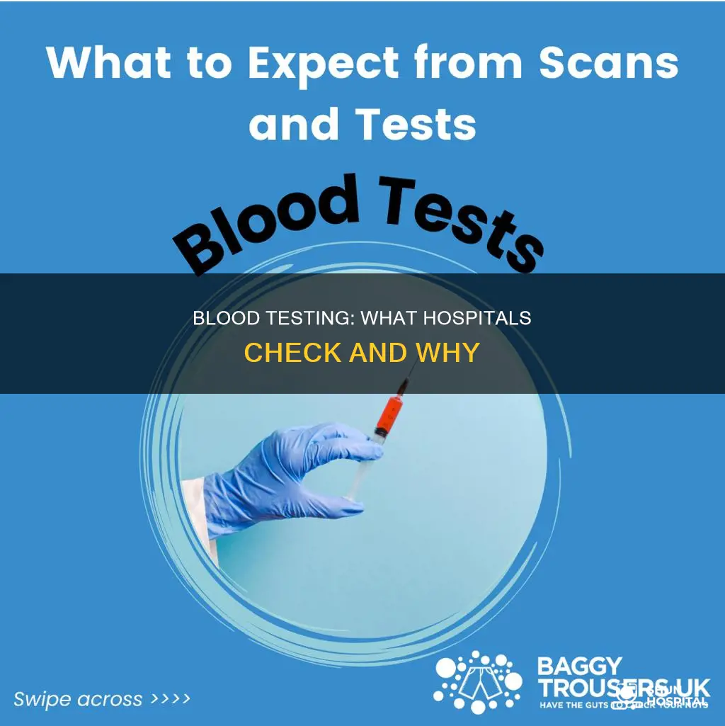 what do hospitals test your blood for