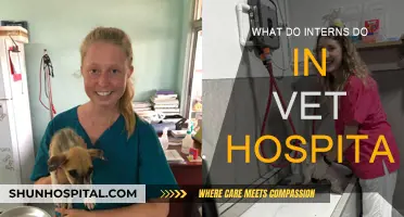 A Day in the Life of a Veterinary Intern