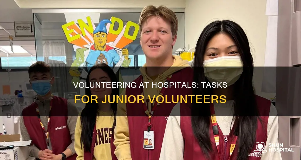 what do junior volunteers do at hospitals