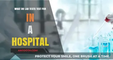 Understanding Hospital Lab Tests: What They Screen For and Why