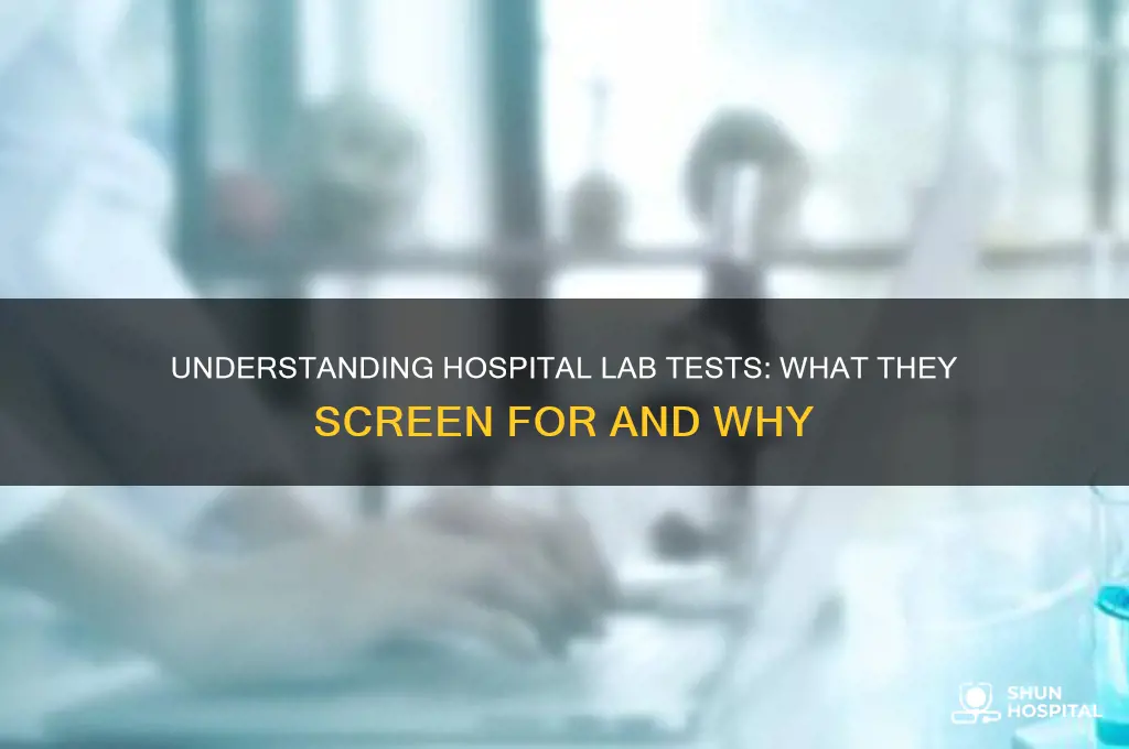 what do lab tests test for in a hospital