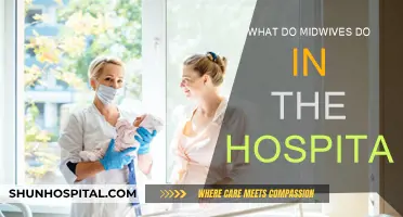 The Vital Role of Midwives in Hospital Settings