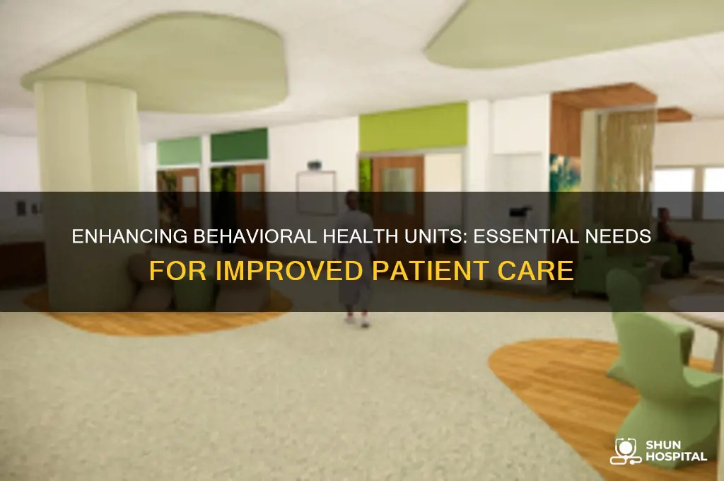 what do more behavioral health units in hospitals need