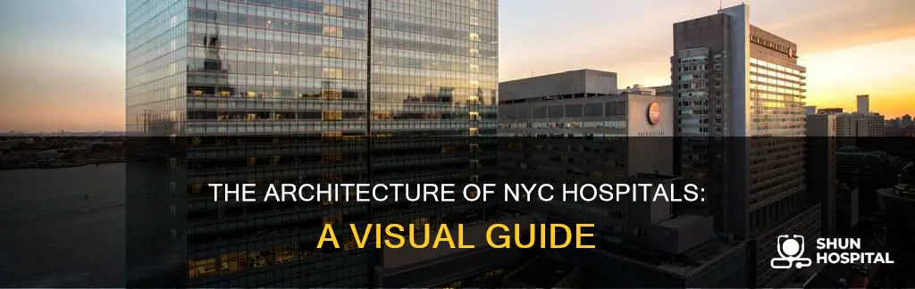 what do new york hospitals look like