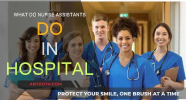 Nurse Assistants: Crucial Hospital Support Roles