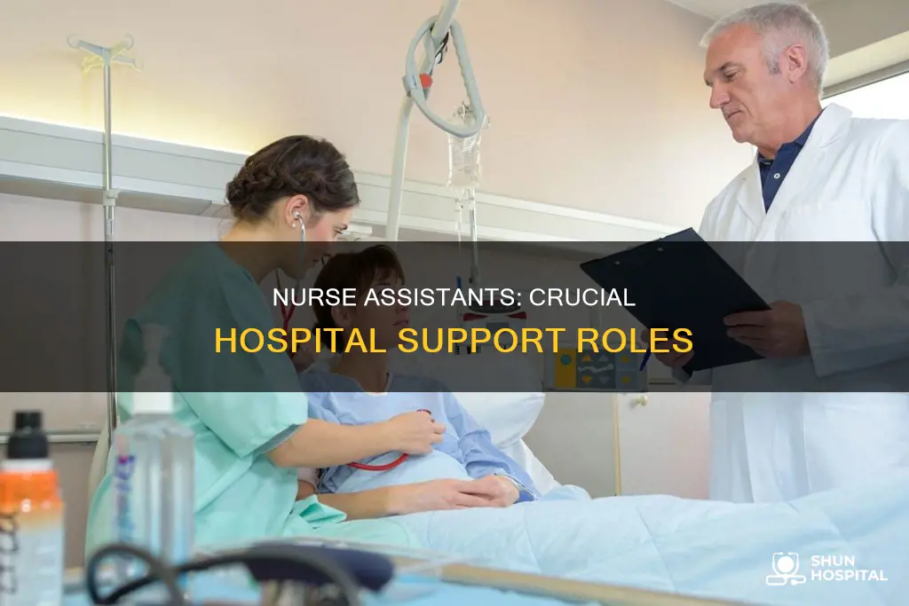 what do nurse assistants do in hospitals