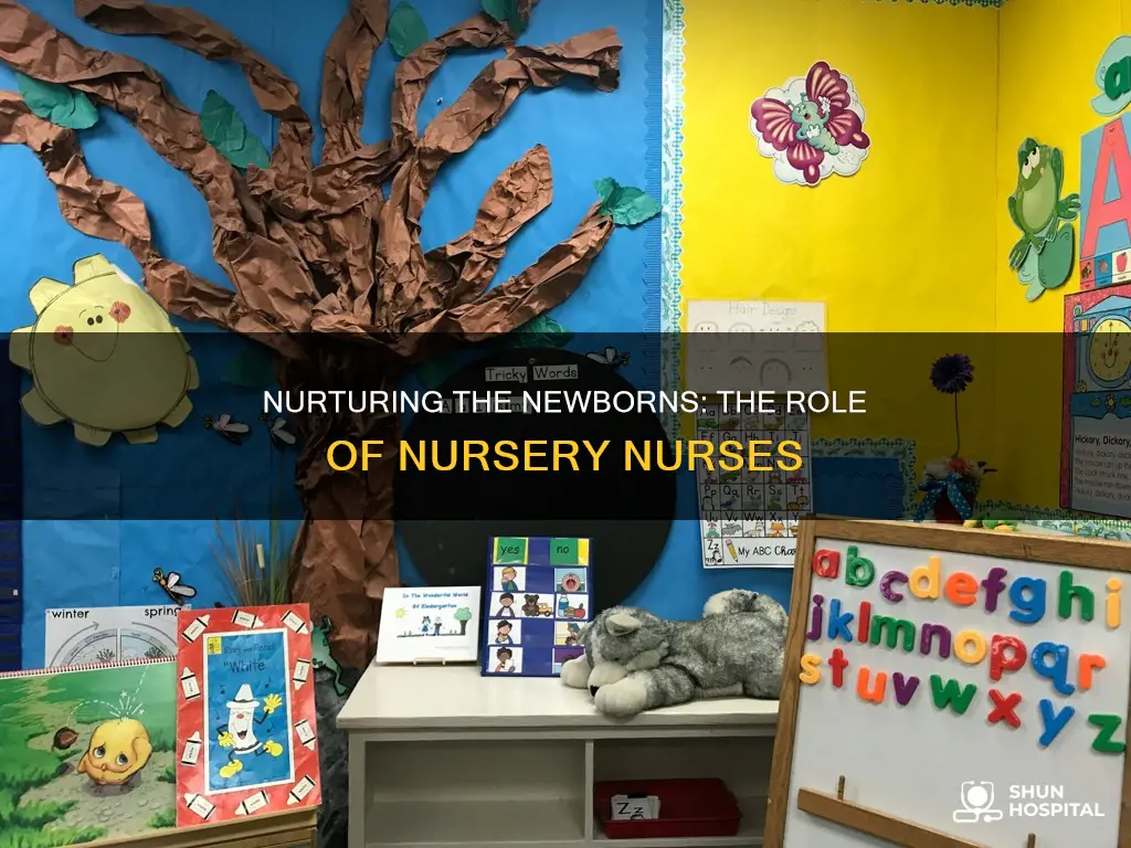 what do nursery nurses do in hospitals