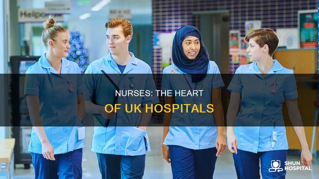 what do nurses do in hospitals uk