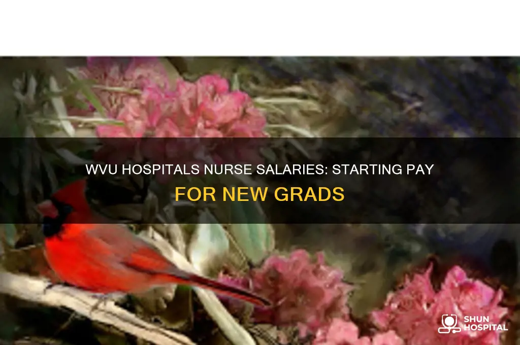 what do nurses start out at at wvu hospitals