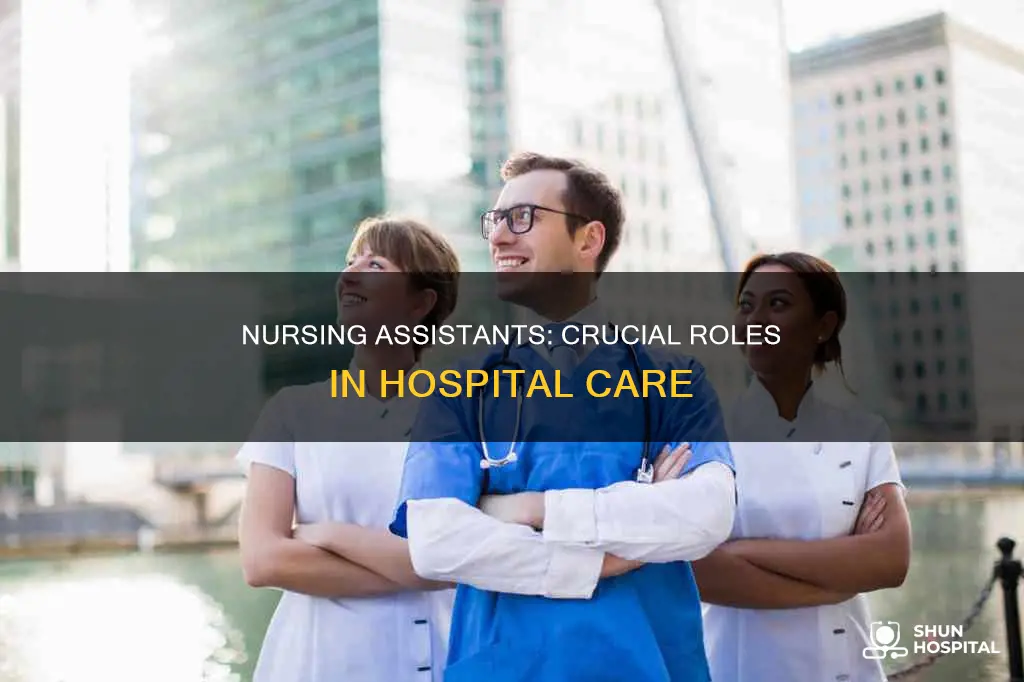 what do nursing assistants do in hospitals