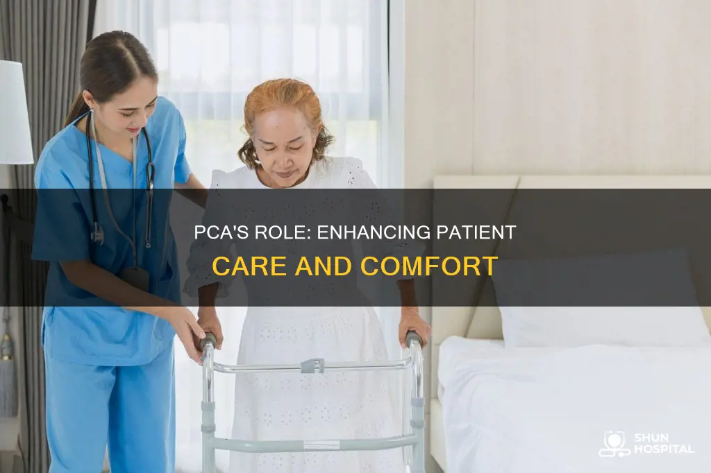 what do pca do in a hospital