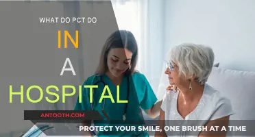 Hospital Patient Care Technicians: Their Vital Role Explained