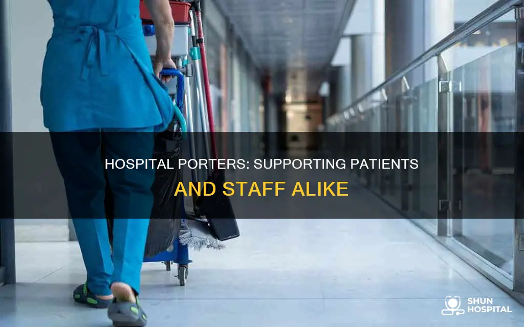 what do porters do in a hospital