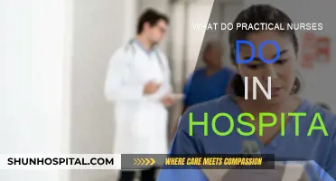 Practical Nurses: Essential Hospital Caregivers