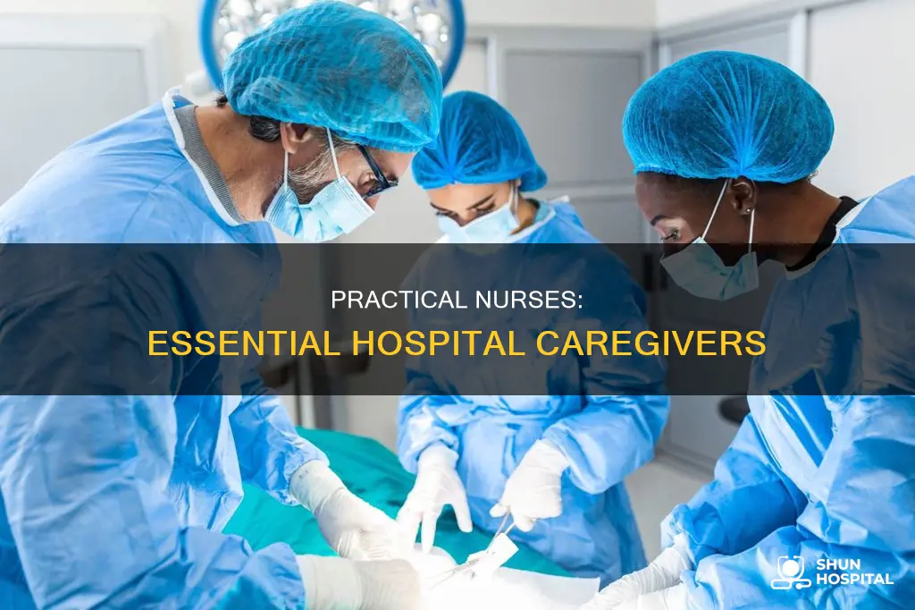 what do practical nurses do in hospitals