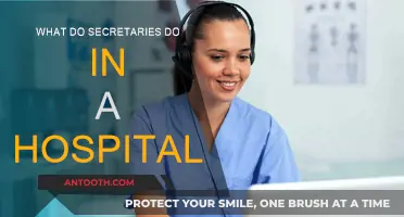 Hospital Secretaries: Supporting Healthcare Operations and Administration