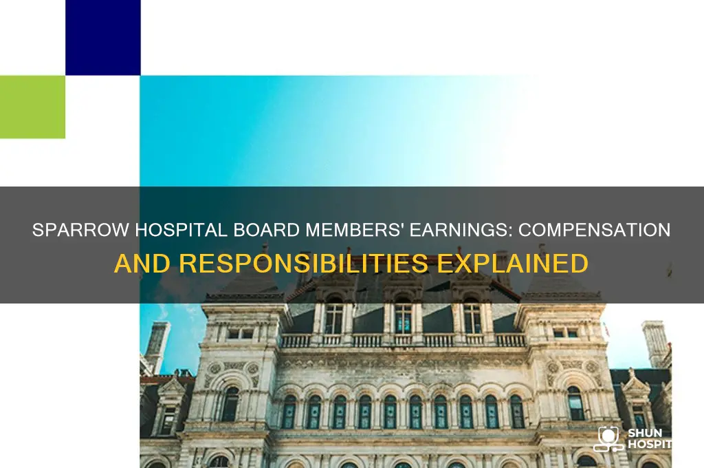 what do sparrow hospital board of directors members earn